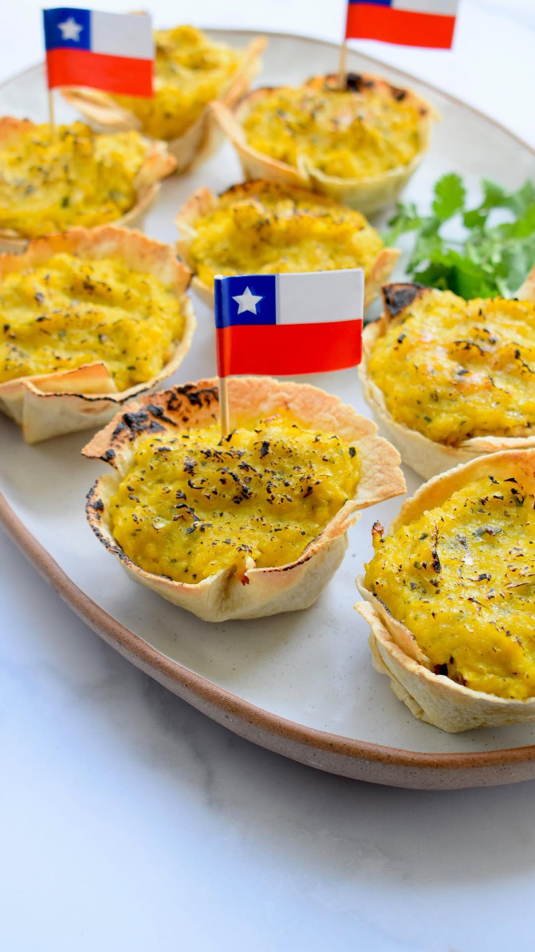 ESPECIAL: FIESTAS PATRIAS 🇨🇱✨