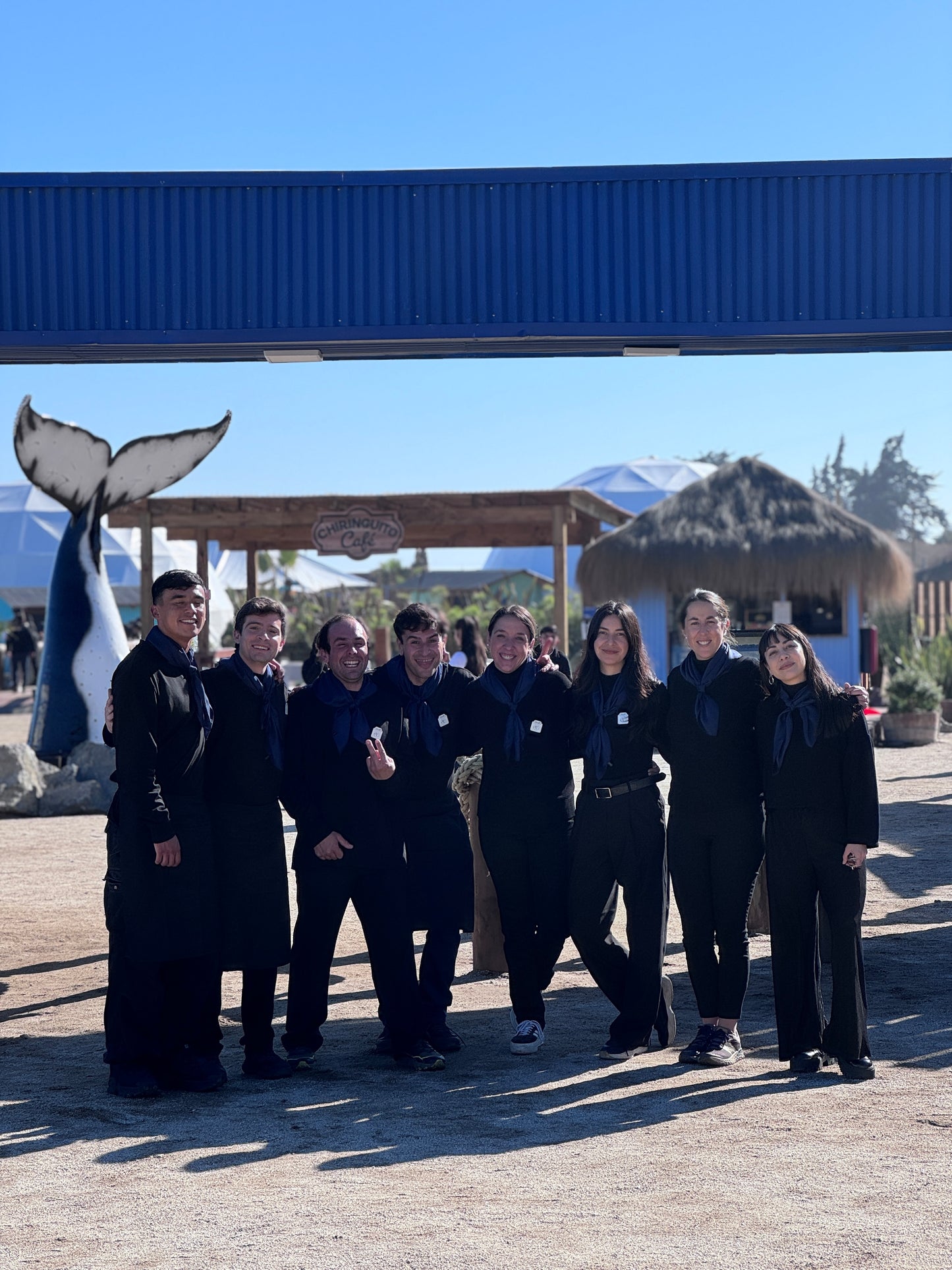 🎄 ESPECIAL NAVIDAD Y FIN DE AÑO