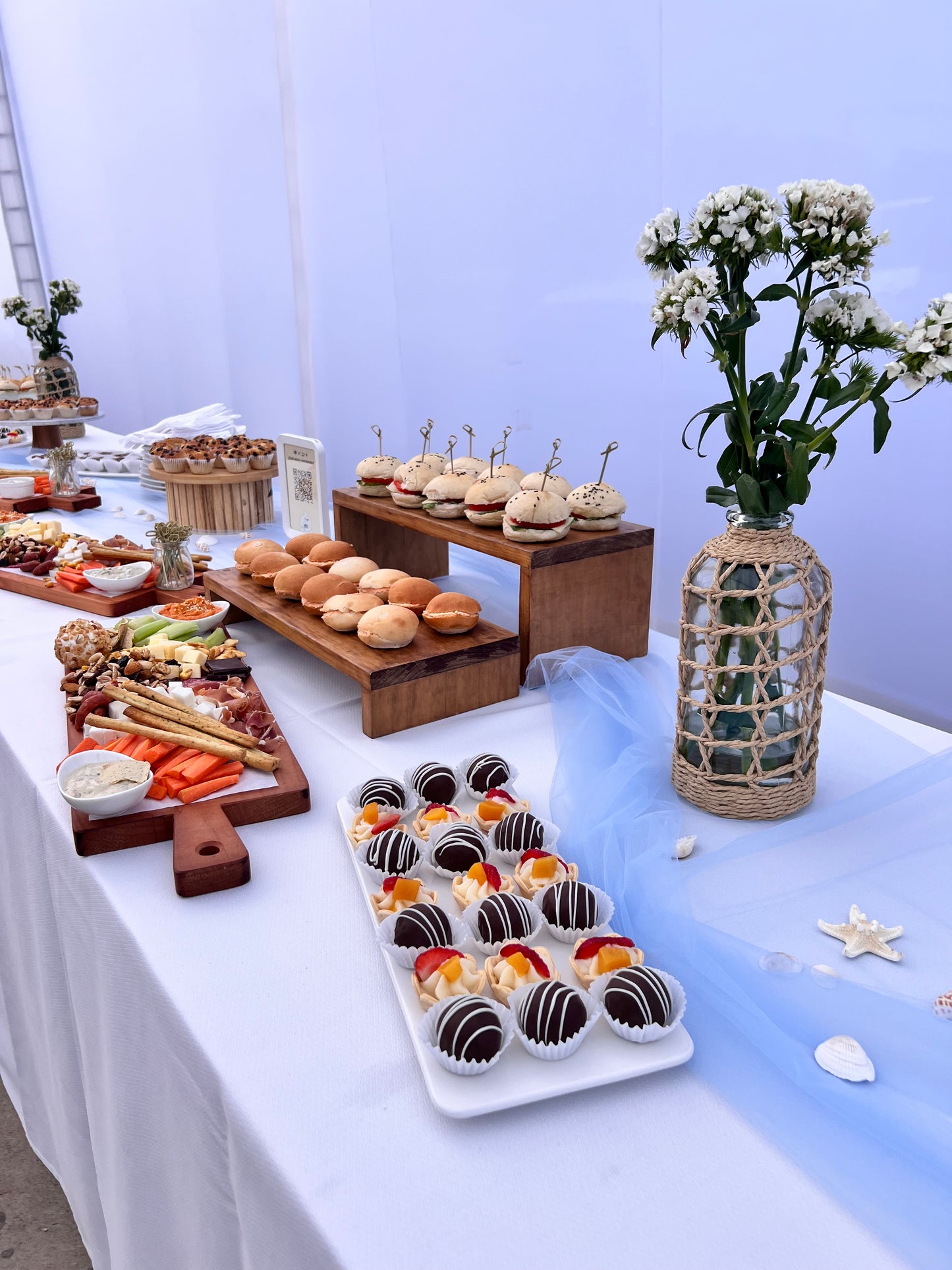 🎄 ESPECIAL NAVIDAD Y FIN DE AÑO