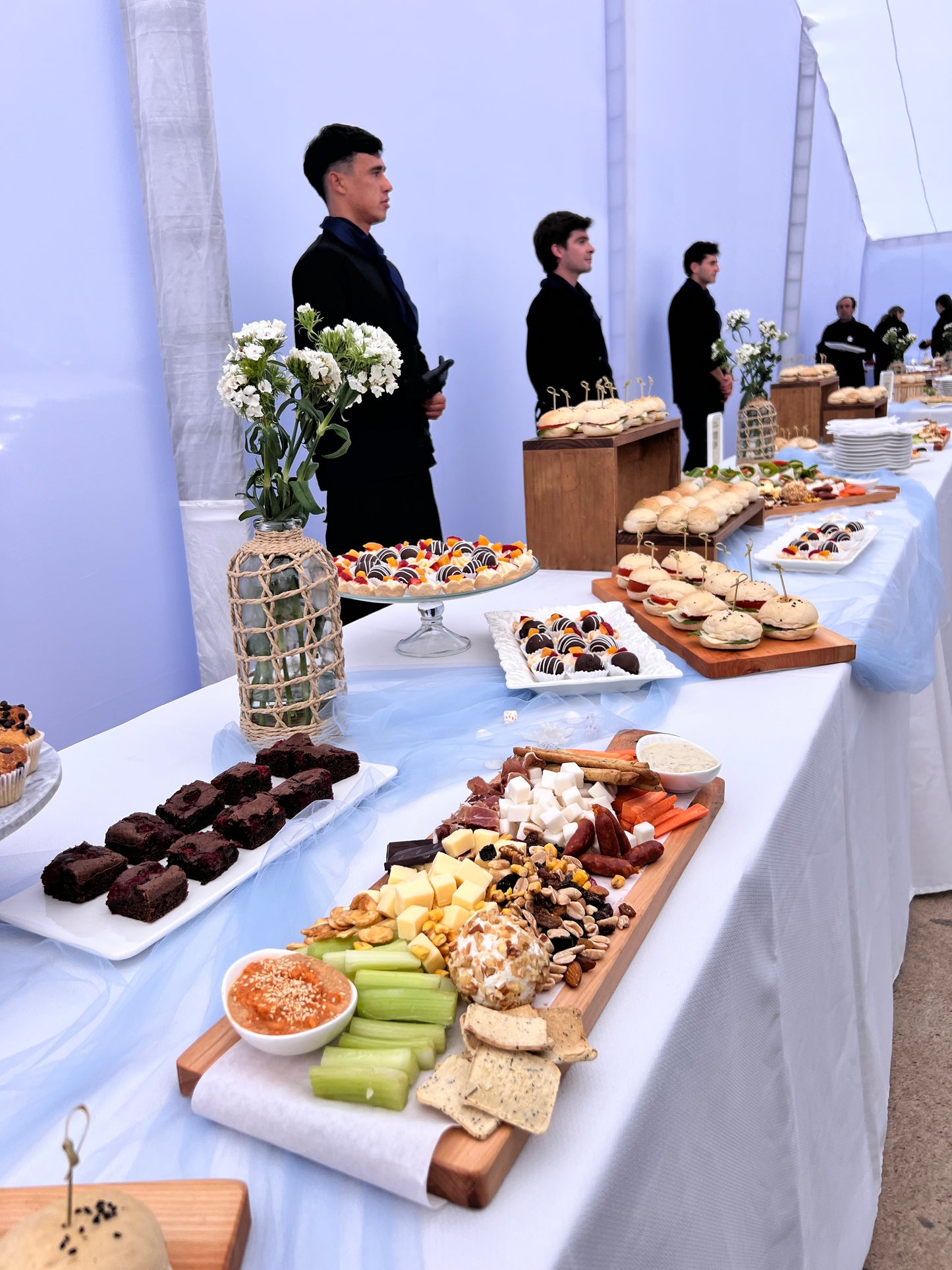 🎄 ESPECIAL NAVIDAD Y FIN DE AÑO