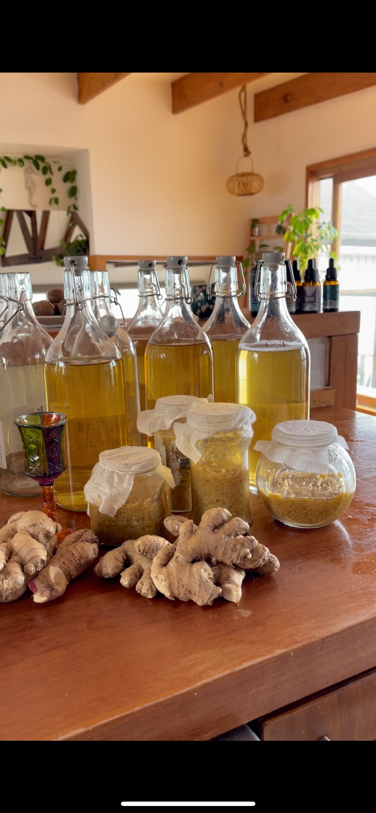 TALLER DE COCINA CONSCIENTE (EN VIVO) 👩🍳🥬