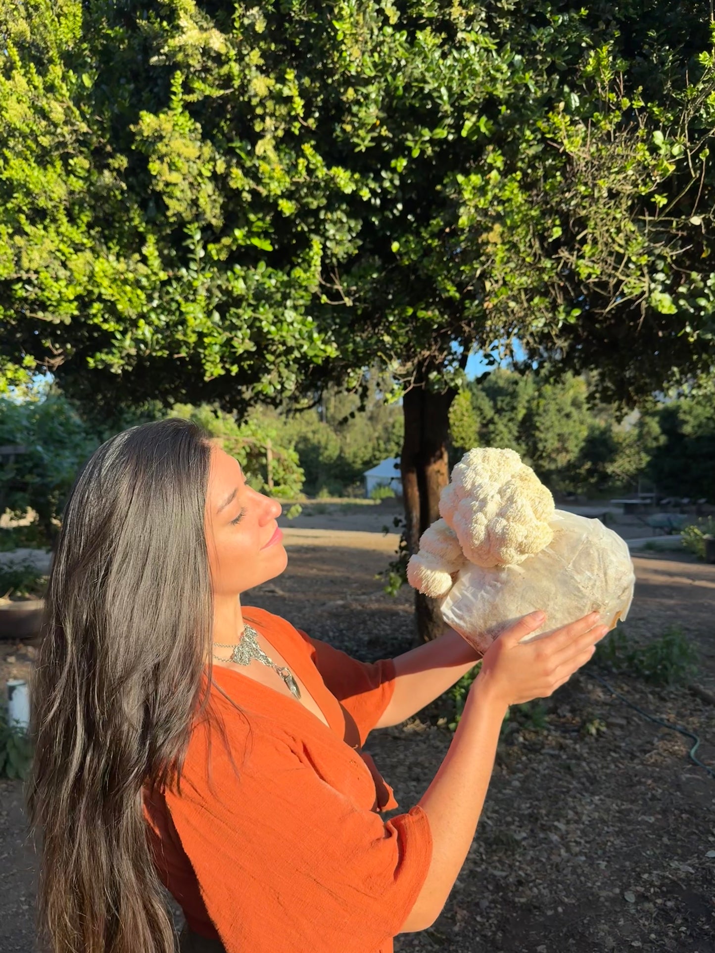 ALIMENTACIÓN CONSCIENTE E INTUITIVA AMABLE 🥗✨