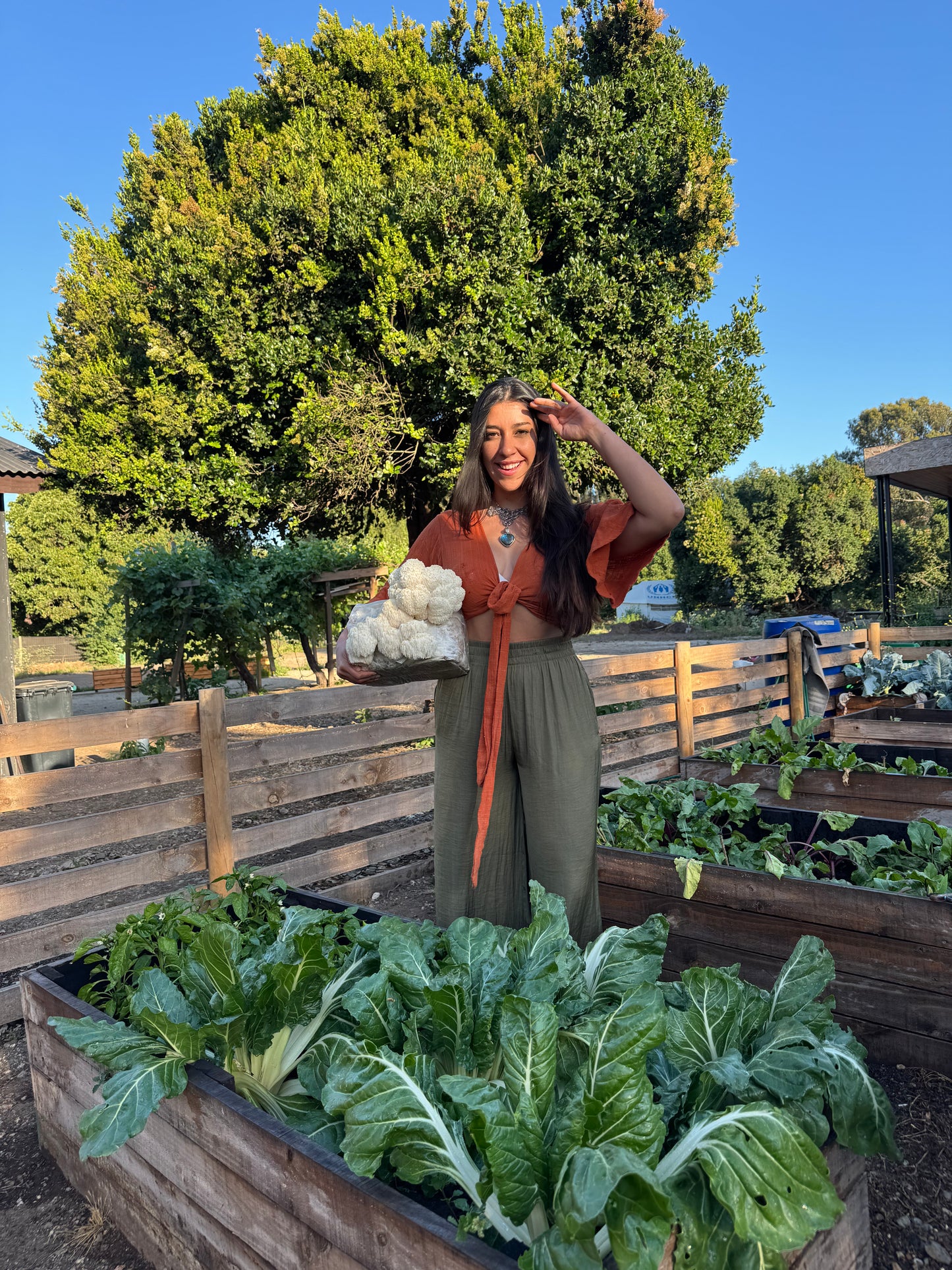 ALIMENTACIÓN CONSCIENTE E INTUITIVA AMABLE 🥗✨