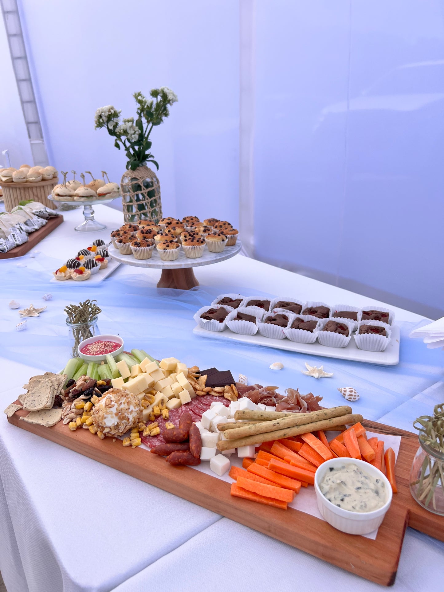 🎄 ESPECIAL NAVIDAD Y FIN DE AÑO