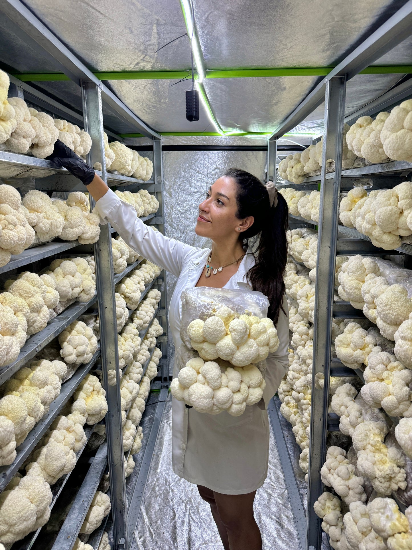 TALLER DE COCINA CONSCIENTE (EN VIVO) 👩‍🍳🥬